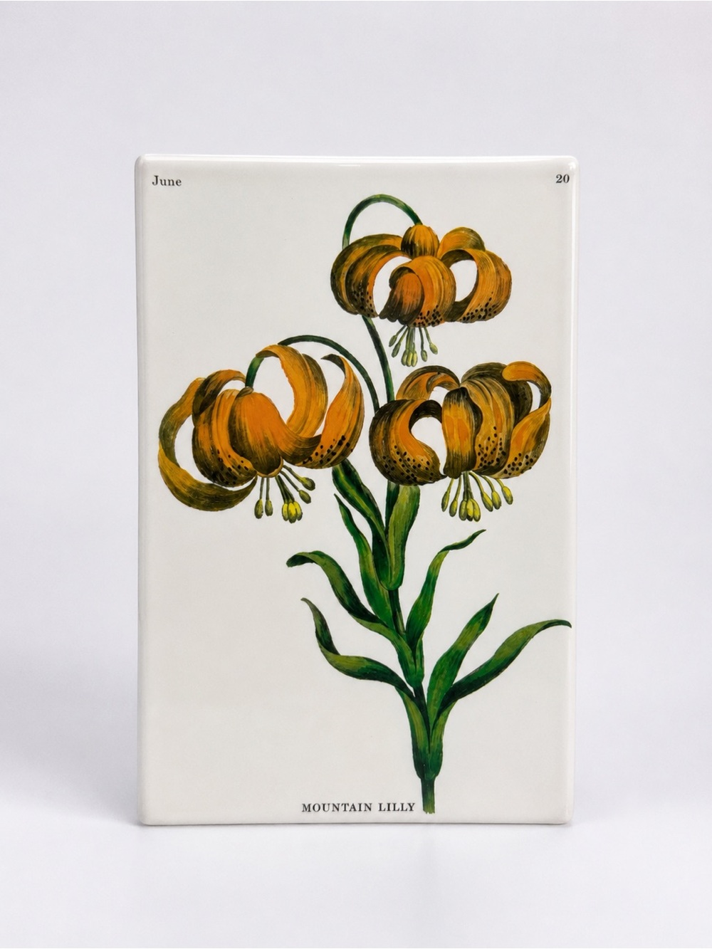 John Derian Mountain Lilly Glass Tray